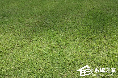 红米S2拍照好用吗？红米S2拍照性能实测