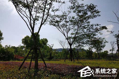 红米S2拍照好用吗？红米S2拍照性能实测