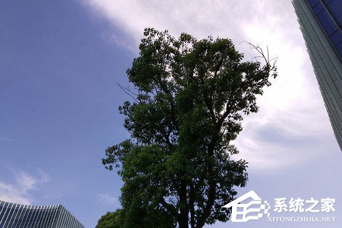 红米S2拍照好用吗？红米S2拍照性能实测