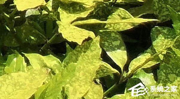 荣耀10怎么样好用吗？华为荣耀10全面评测