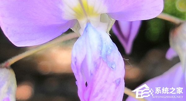 荣耀10怎么样好用吗？华为荣耀10全面评测