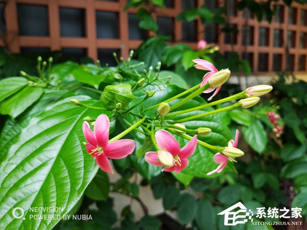 买魅族15还是努比亚Z18mini？努比亚Z18mini和魅族15对比评测