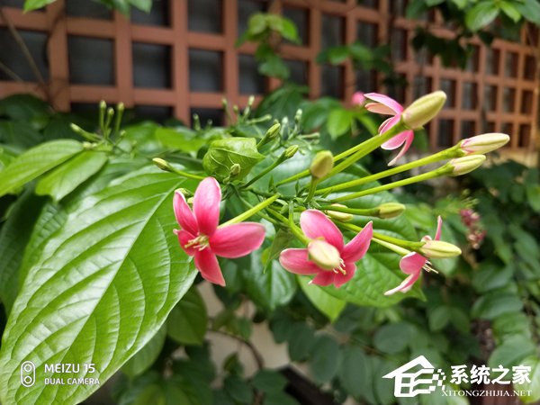 买魅族15还是努比亚Z18mini？努比亚Z18mini和魅族15对比评测