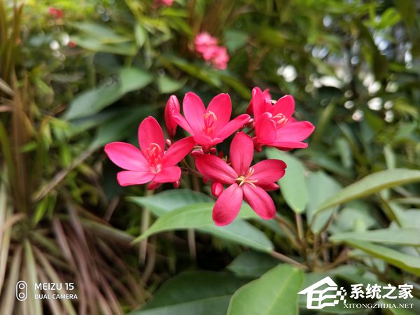 买魅族15还是努比亚Z18mini？努比亚Z18mini和魅族15对比评测