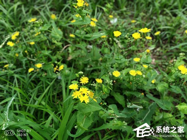 360 N7值不值得买？360 N7手机综合评测