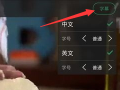 网易公开课怎么调节字幕 网易公开课调节字幕方法
