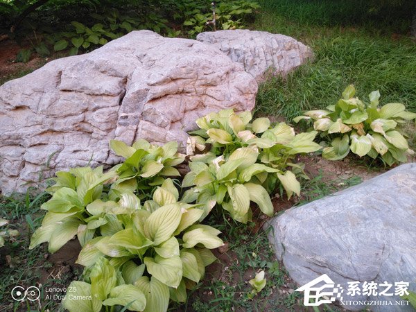 联想Z5好不好？新国民旗舰联想Z5全面评测