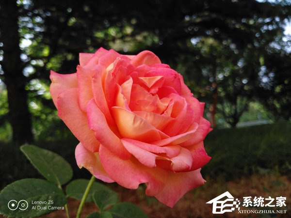 联想Z5好不好？新国民旗舰联想Z5全面评测