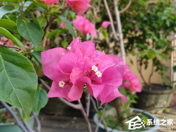 一加6手机值得买吗？一加6手机全面评测