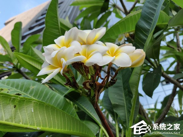 一加6手机值得买吗？一加6手机全面评测