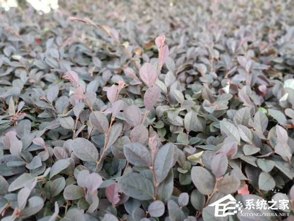 一加6手机值得买吗？一加6手机全面评测