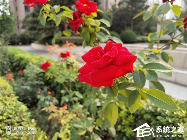 魅族16th怎么样?魅族16th手机全面评测