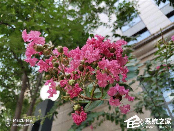 魅族16th怎么样?魅族16th手机全面评测