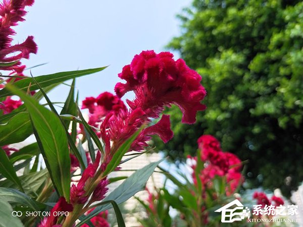 OPPO R17拍照好用吗?OPPO R17拍照性能体验评测