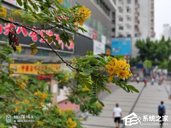 买魅族16X还是魅族16th？魅族16th和魅族16X区别对比