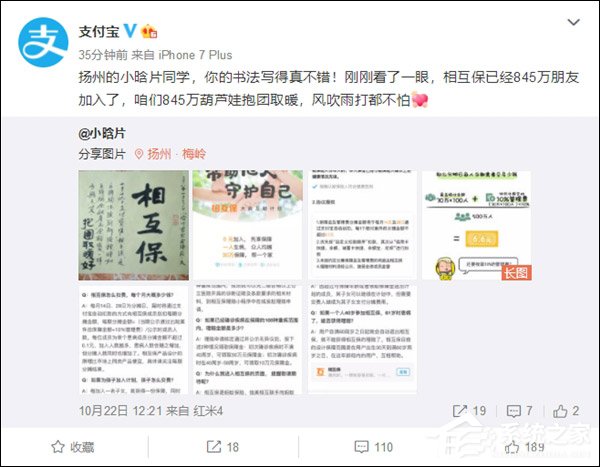 上线仅8天！支付宝：“相互保”人数已突破800万