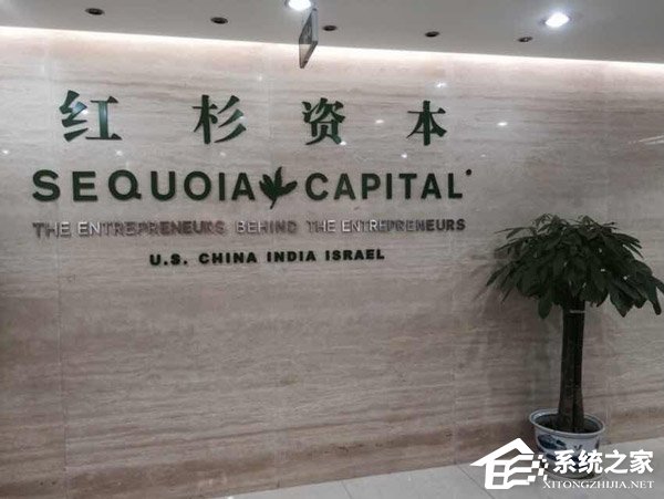 打脸?红杉中国否认与贾跃亭有过接触