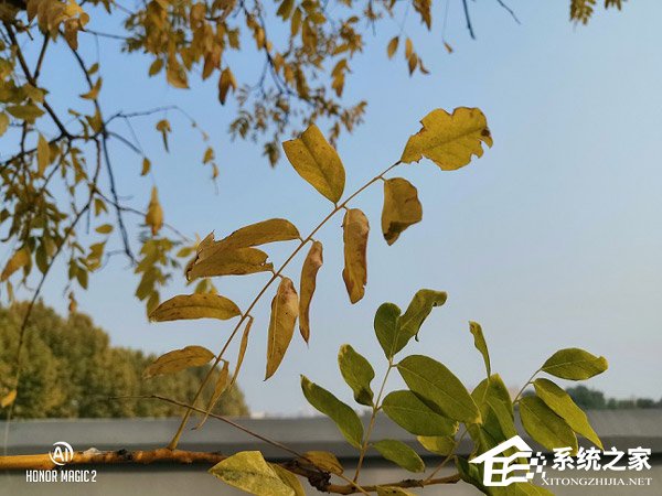 买荣耀Magic 2还是小米MIX 3？小米MIX 3和荣耀Magic 2对比评测
