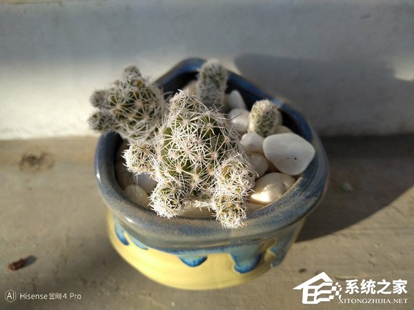 海信金刚4 Pro怎么样？海信金刚4 Pro上手评测