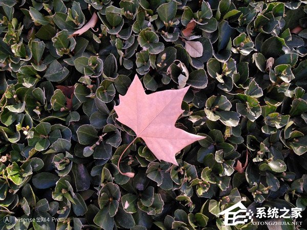 海信金刚4 Pro怎么样？海信金刚4 Pro上手评测