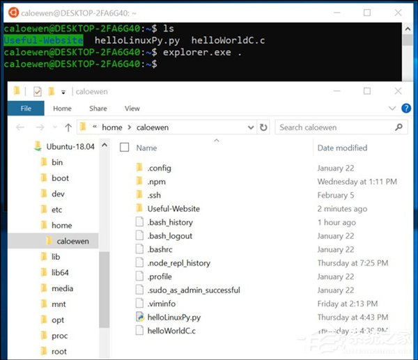 Win10 19H1快速预览版更新18342内容一览