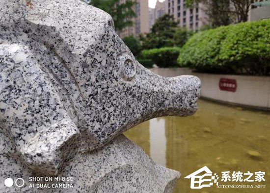买小米9 SE还是小米8 SE？小米8 SE和小米9 SE区别对比