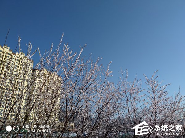 红米7好不好？红米7手机评测