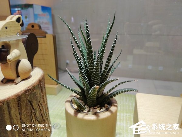 红米7好不好？红米7手机评测