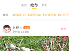 耳觅app如何清除聊天记录？耳觅app清除聊天记录的方法