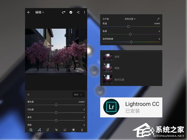 Nokia 9 PureView拍照好用吗？诺基亚9 PureView拍照性能评测