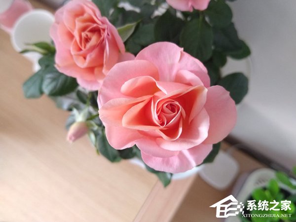 摩托罗拉g7 plus怎么样？摩托罗拉g7 plus体验评测