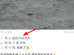 快手如何设置作品原声？快手作品原声设置方法