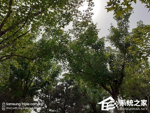 三星A40s怎么样？Galaxy A40s手机评测