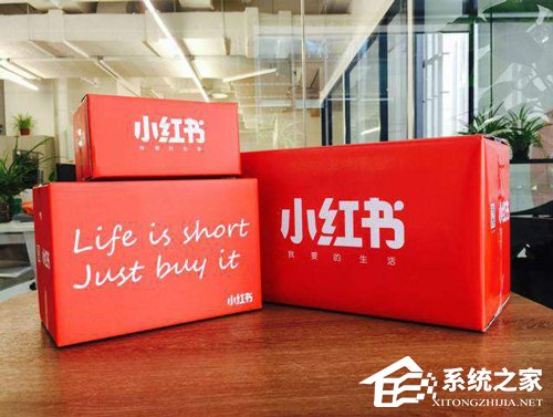小红书上线“小红心”评分体系