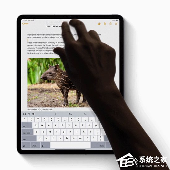 为iPad而生！官方解读苹果iPadOS系统