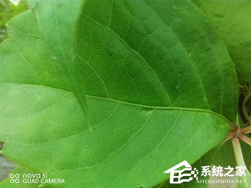 华为nova 5i怎么样？华为nova 5i体验评测