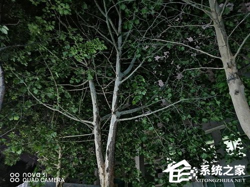 华为nova 5i怎么样？华为nova 5i体验评测