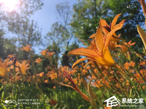 小米CC9怎么样？小米CC9上手评测