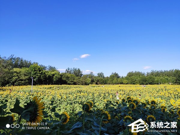 小米CC9怎么样？小米CC9上手评测
