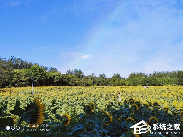 小米CC9怎么样？小米CC9上手评测