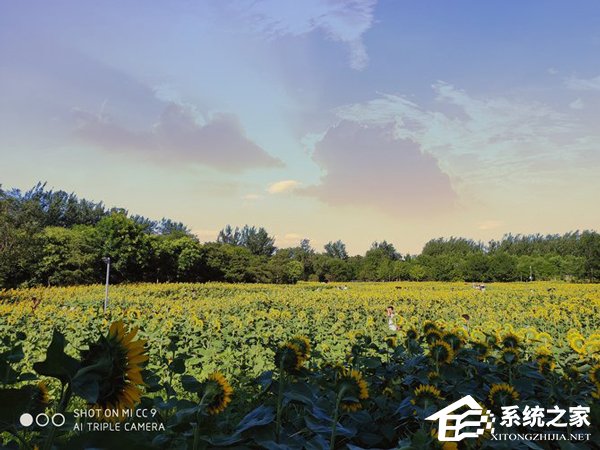 小米CC9怎么样？小米CC9上手评测