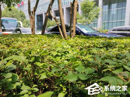 华为nova 5怎么样?华为nova 5体验评测