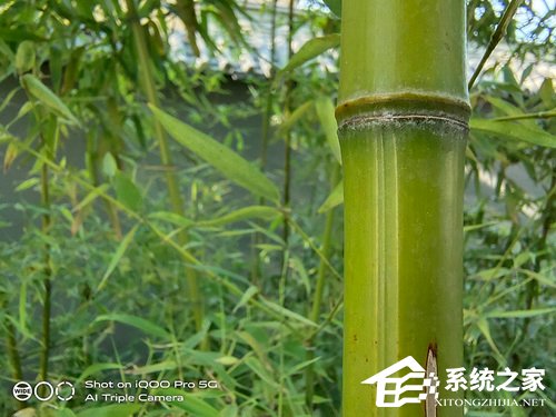 iQOO Pro怎么样？iQOO Pro体验评测