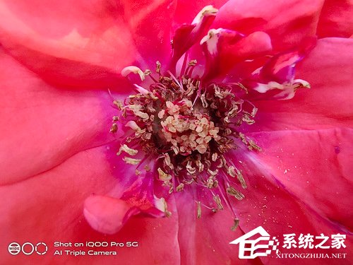 iQOO Pro怎么样？iQOO Pro体验评测