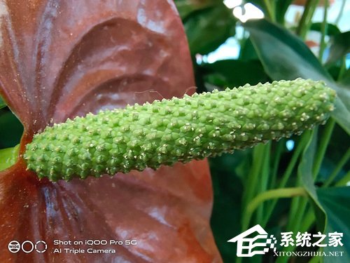iQOO Pro怎么样？iQOO Pro体验评测