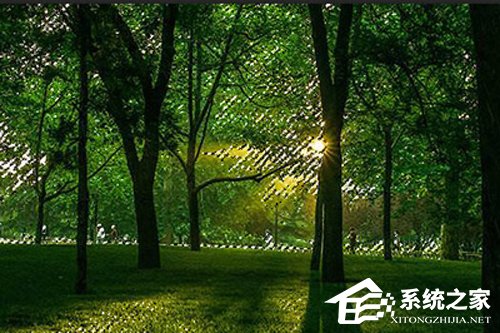 PS树林透光效果怎么做?3分钟了解树林透光效果制作方法