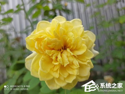 红米Note8 Pro怎么样？Redmi Note8 Pro体验评测