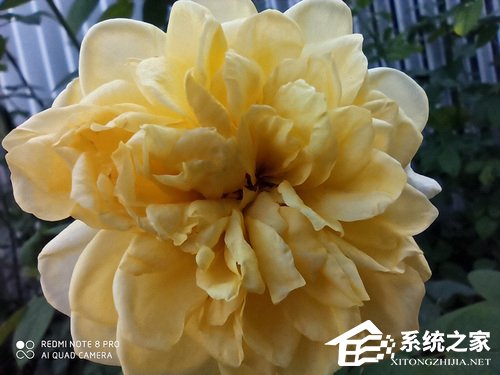 红米Note8 Pro怎么样？Redmi Note8 Pro体验评测