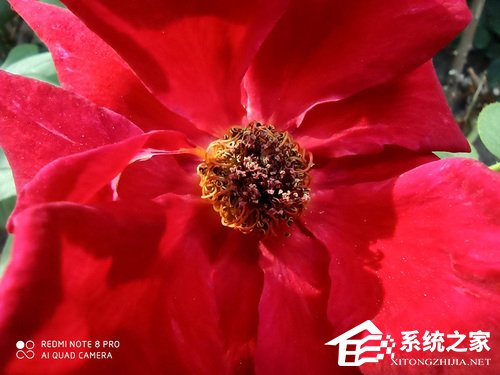 红米Note8 Pro怎么样？Redmi Note8 Pro体验评测