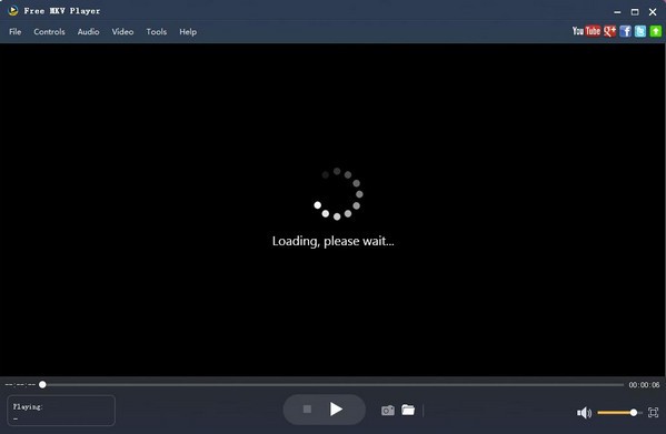 Aiseesoft Free MKV Player